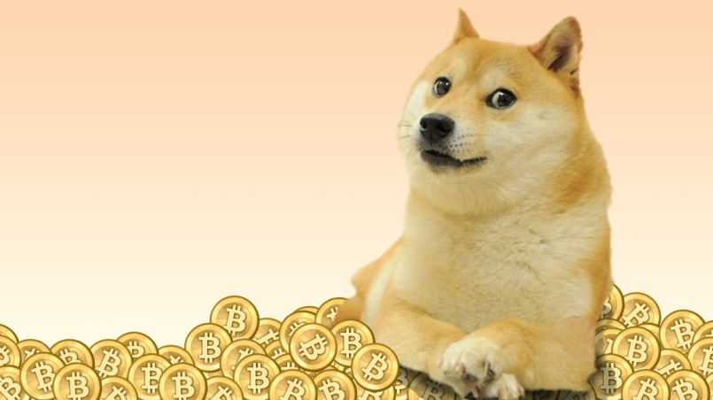 Best Dogecoin (DOGE) Wallets